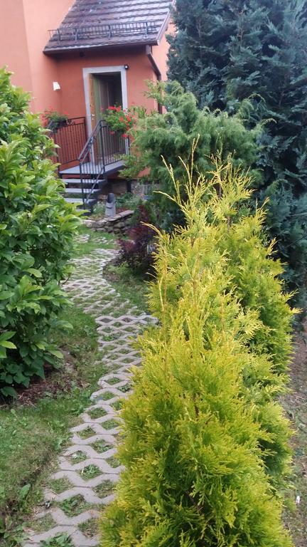 Noclegi U Andrzeja Duszniki Zdrój Dış mekan fotoğraf